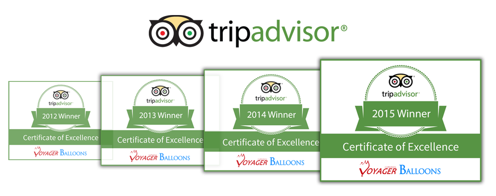 tripadvisorlogo